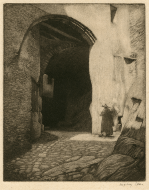 Sydney Lee Dark Entry