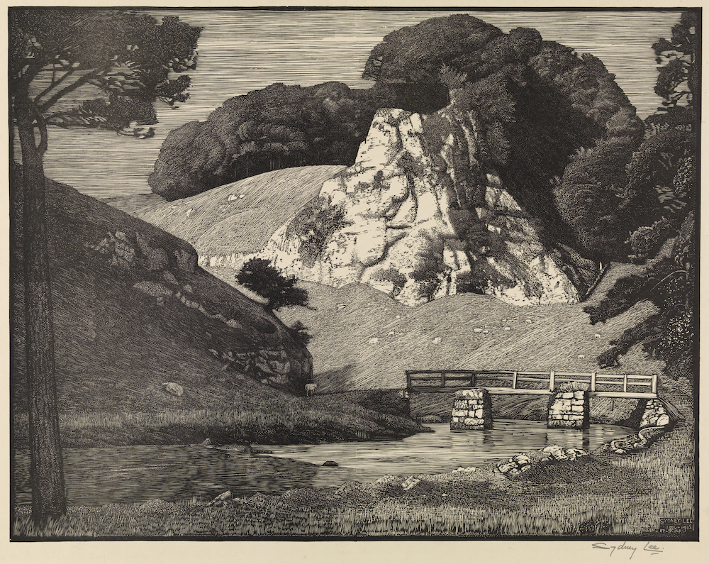 Sydney Lee Limestone Rock Dovedale
