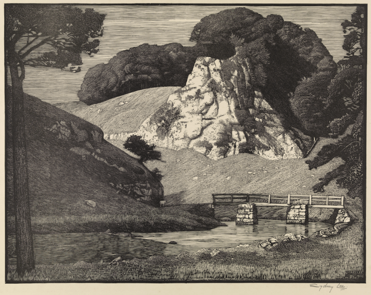 Sydney Lee Limestone Rock Dovedale