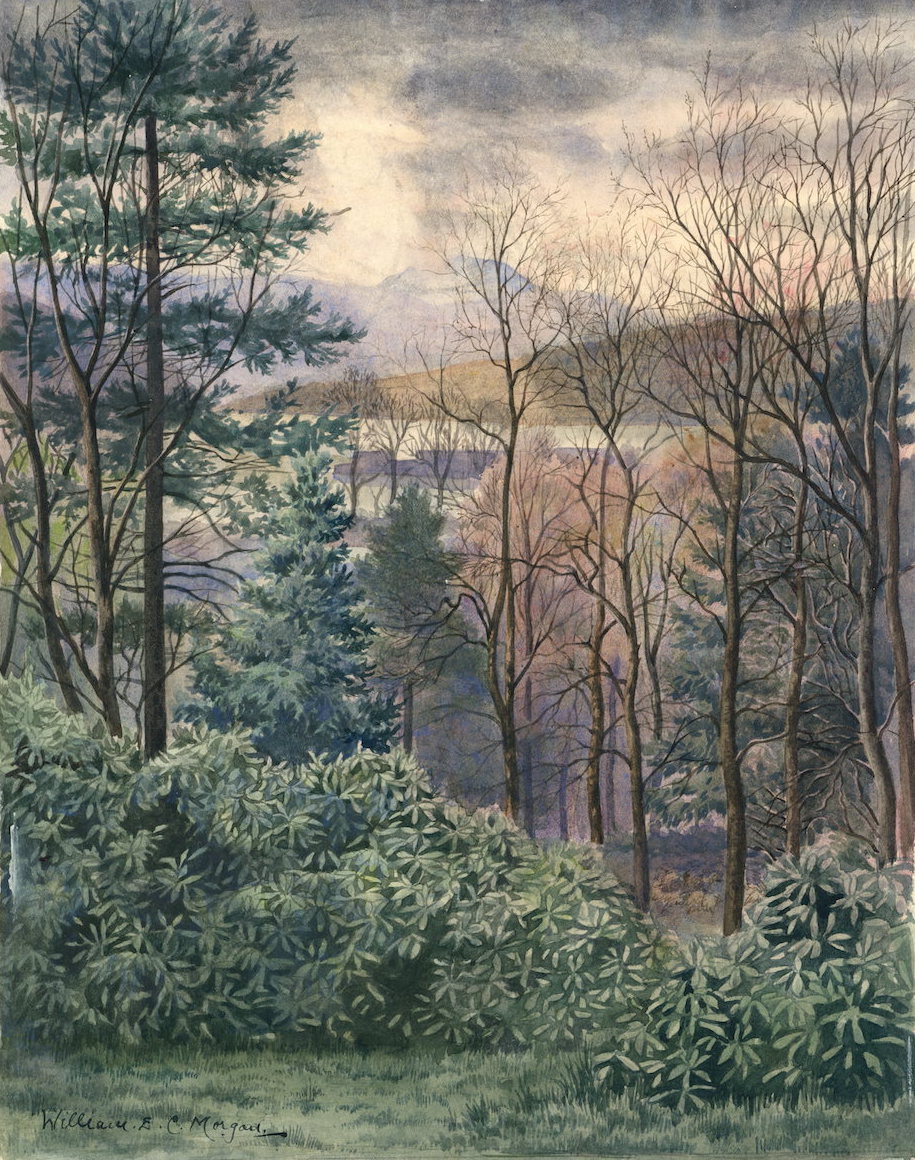 W E C Morgan - Watercolour Web